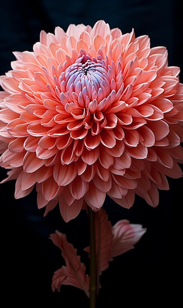 Rendere bellissimi fiori 3D carta da parati UHD