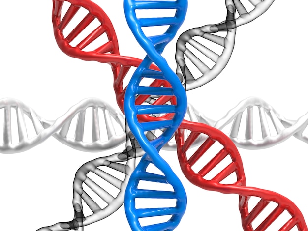 Rendering 3D della struttura del DNA o dell'elica del DNA su sfondo bianco