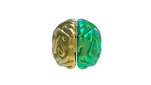 Rendering 3D di Brain su sfondo bianco
