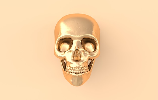 Rendering 3d di cranio umano