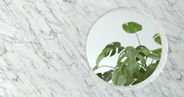 Rendering 3D di parete in marmo e impianto Monstera.