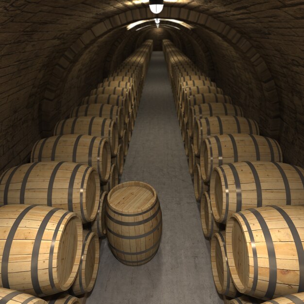 Rendering 3D di una cantina