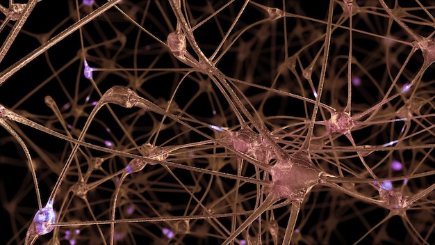 Rendering 3D di una rete di cellule neuronali e sinapsi attraverso le quali passano impulsi elettrici e scariche durante la trasmissione di informazioni all'interno del cervello umano