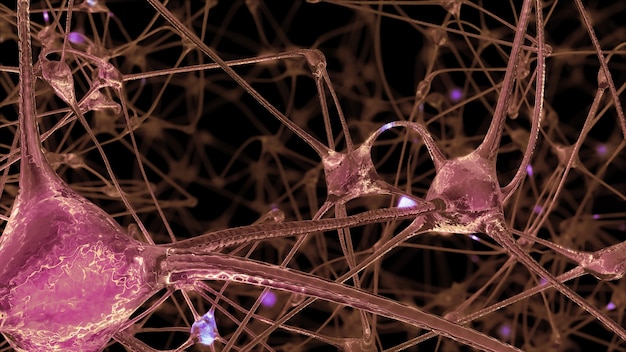 Rendering 3D di una rete di cellule neuronali e sinapsi attraverso le quali passano impulsi elettrici e scariche durante la trasmissione di informazioni all'interno del cervello umano