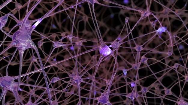 Rendering 3D di una rete di cellule neuronali e sinapsi attraverso le quali passano impulsi elettrici e scariche durante la trasmissione di informazioni all'interno del cervello umano