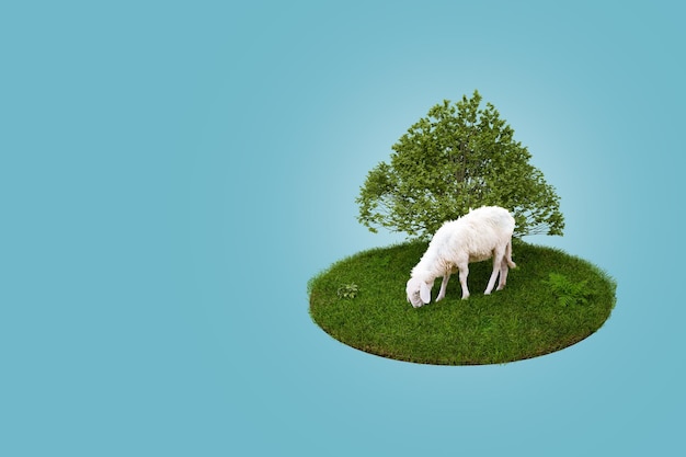 Rendering 3D Giovane pecora bianca che mangia erba verde sul campo con il grande albero Eid Adha Concept