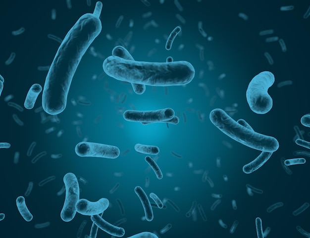 Rendering 3D I batteri si moltiplicano nel sangue