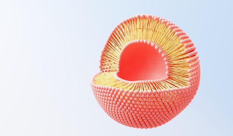 Rendering 3D membrana cellulare Fosfolipidi Doppio strato Strati di molecole Espressione genica Database di nucleotidi Modello a mosaico fluido per l'istruzione Gene umano Strutture della membrana plasmatica