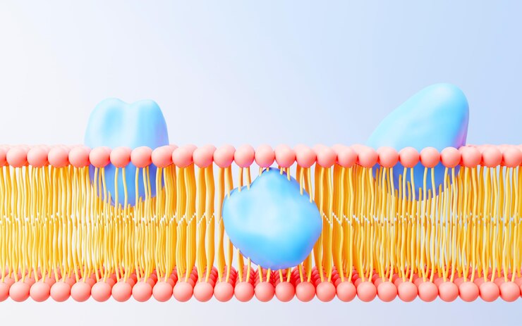 Rendering 3D membrana cellulare Fosfolipidi Doppio strato Strati di molecole Espressione genica Database di nucleotidi Modello a mosaico fluido per l'istruzione Gene umano Strutture della membrana plasmatica