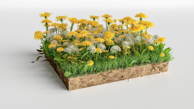 Rendering 3D realistico pavimento del terreno in sezione Illustrazione 3D sezione trasversale del terreno con terra e fiori di erba verde