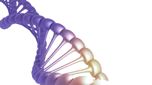 Rendering 3D struttura del DNA