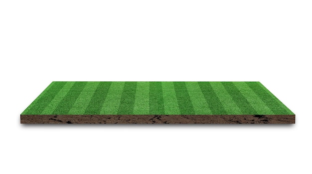 Rendering 3D Terreno da calcio a erba a strisce Terreno di calcio a prato verde isolato su sfondo bianco