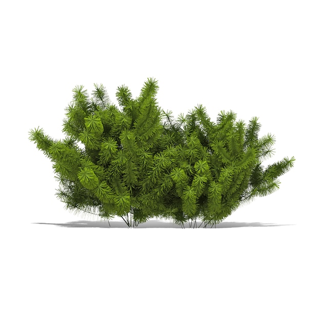 Rendering albero 3d