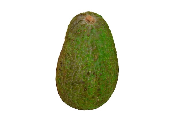 rendering realistico di avocado 3d, concetto di persea americana