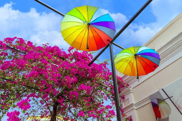 Repubblica Dominicana colorato coloniale ombrello street a Puerto Plata