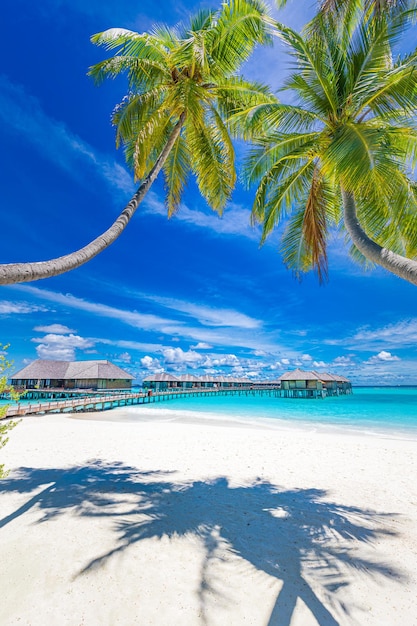 Resort di lusso alle Maldive con ville sull'acqua e foglie di palma mare blu, vista sul mare. Sfondo di viaggio