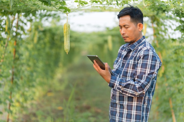 Responsabile della ricerca agricola