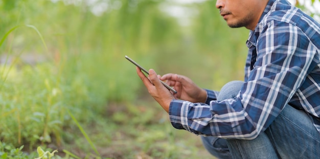 Responsabile della ricerca agricola