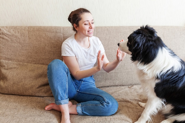 Resta a casa Resta al sicuro. Giovane donna attraente sorridente che gioca con il border collie sveglio del cucciolo di cane sullo strato a casa all'interno. Ragazza che abbraccia nuovo membro adorabile del concetto di quarantena di vita animale di cura degli animali domestici della famiglia