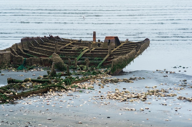 Resti di una nave naufragata su una spiaggia nebbiosa