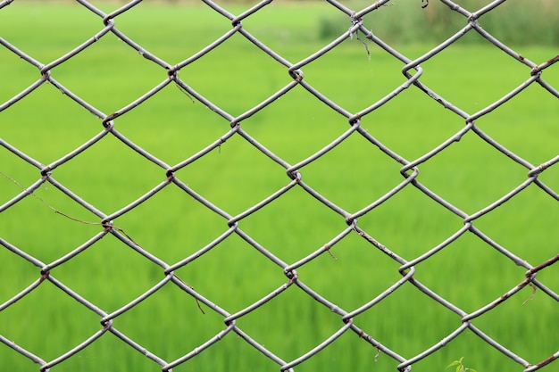 Rete metallica, recinzione in rete Filo spinato arrugginito, recinzione di collegamento Chain, sfondo di rete metallica