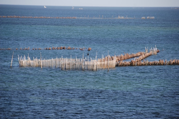 Reti da pesca nel mare