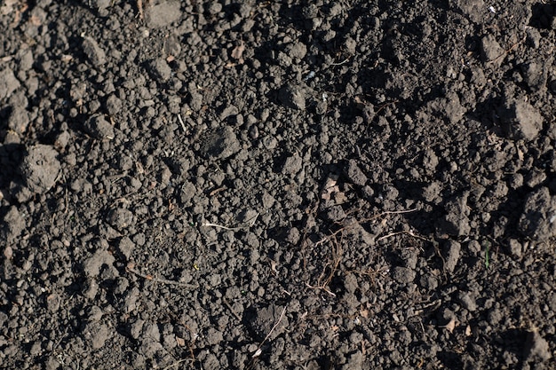 Reticolo del fondo di struttura al suolo del suolo. Terra sporca.