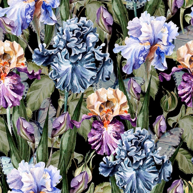 Reticolo dell'acquerello con iris fiori