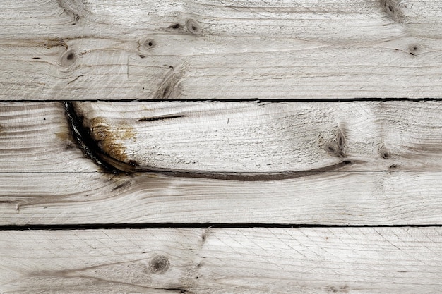 Reticolo di struttura delle tavole dell'albero di legno