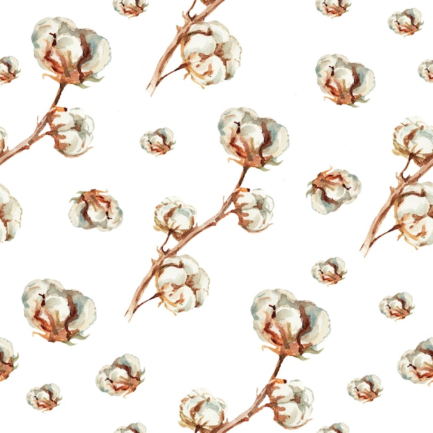 Reticolo disegnato a mano dell'acquerello. Rami di snowberry di cotone. Seamless pattern.