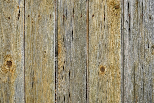 Reticolo naturale del fondo di struttura di legno