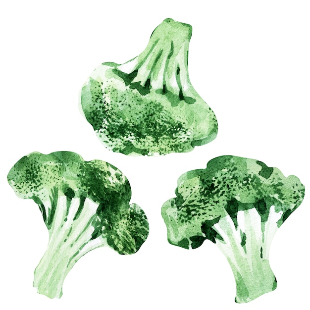 Reticolo senza giunte dell'acquerello con diversi tipi di cavolo. broccoli