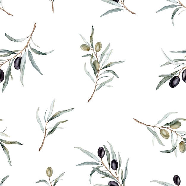 Reticolo senza giunte dell'acquerello con olive nere e verdi e ramo Olive dipinte a mano isolate su sfondo bianco Illustrazione botanica per tessuto stampa design o sfondo