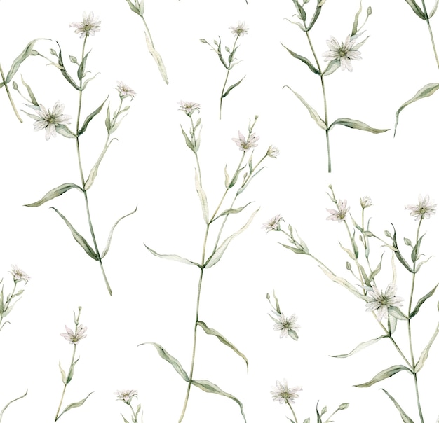 Reticolo senza giunte dell'acquerello con stellaria holostea Rabelera holostea Dipinto a mano piccolo fiore bianco e foglie isolati su sfondo bianco Illustrazione per la stampa di tessuto di design o sfondo