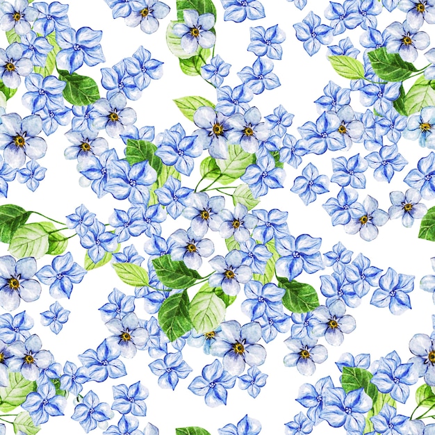 Reticolo senza giunte di nozze acquerello eleganza con fiori primaverili blu.