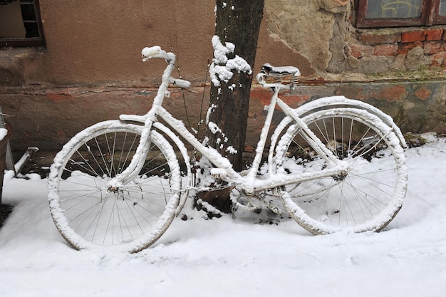 Retro bicicletta ricoperta di neve sotto un albero sulla strada