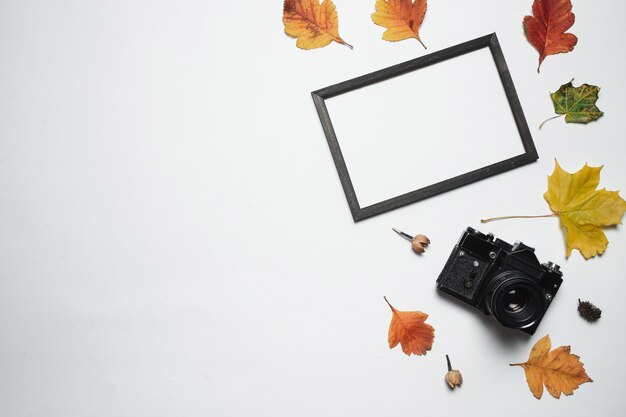 Retro macchina fotografica d'annata e struttura di legno della foto con le foglie di caduta di autunno.