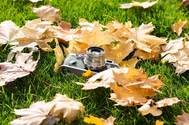 Retro macchina fotografica sul prato con le foglie di autunno gialle. Concetto di inizio dell'autunno e l'inizio della caduta delle foglie