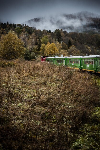 Retro treno attraverso il deserto delle montagne Bieszczady in Polonia atColors