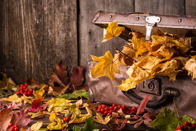 Retro valigia con foglie di autunno su legno