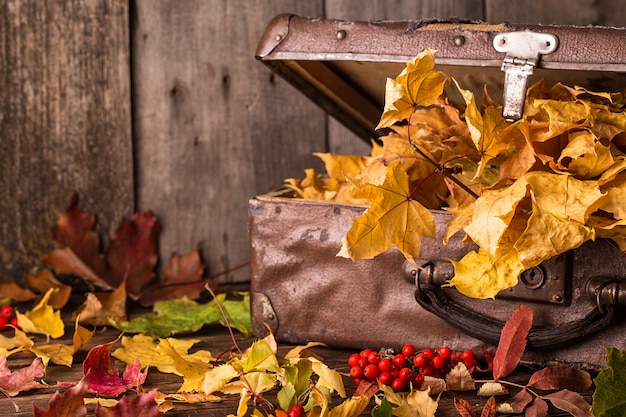 Retro valigia con le foglie di autunno su fondo di legno