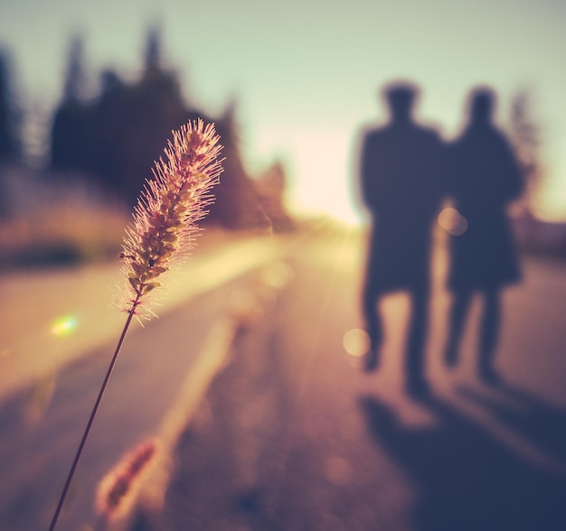 Retro Vintage Soft Focus Romantica coppia anziana che cammina al tramonto in estate