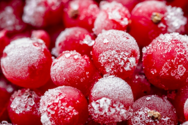 Ribes dolce congelato maturo, ribes con brina. Alimenti biologici biologici naturali. Primo piano, messa a fuoco selettiva