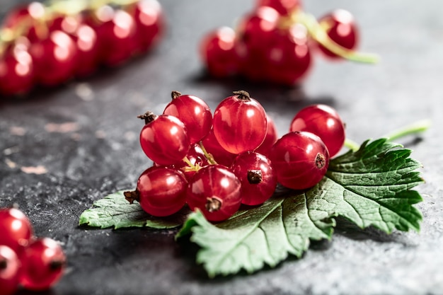 Ribes e foglia sul primo piano nero del fondo di struttura