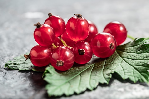 Ribes rosso e foglia sul nero