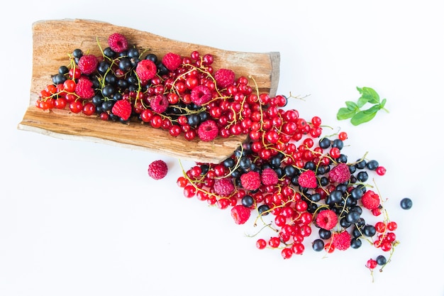 Ribes rosso e nero e mirtilli rossi su fondo bianco. Grande gruppo di bacche colorate.