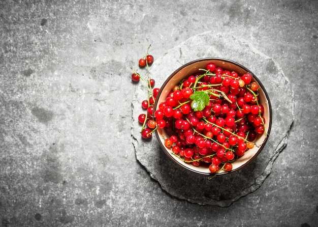 Ribes rosso in Coppa sul tavolo di pietra.