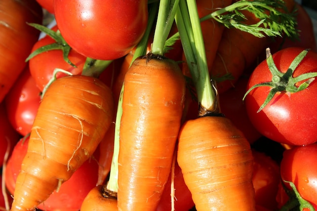 ricco raccolto di carote e pomodori maturi