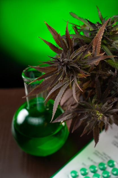 Ricerca e utilizzo di piante di cannabis legali per scopi medici per il trattamento di malattie