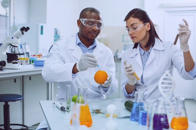 Ricerca finale. Scienziati professionisti concentrati che lavorano in laboratorio e modificano la frutta